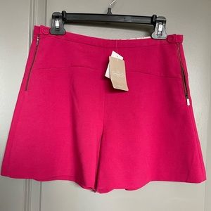 Anthropologie Leifnotes shorts size 6 NWT